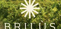 logo brilus
